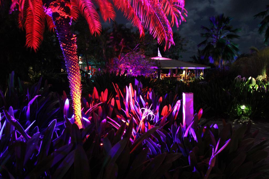 Blue Horizon Boutique Resort (Adults Only) بييكيس المظهر الخارجي الصورة