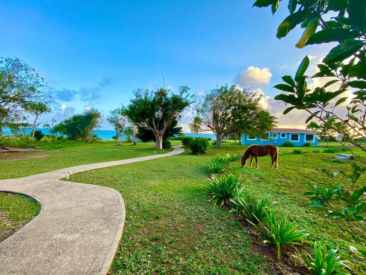 Blue Horizon Boutique Resort (Adults Only) بييكيس المظهر الخارجي الصورة