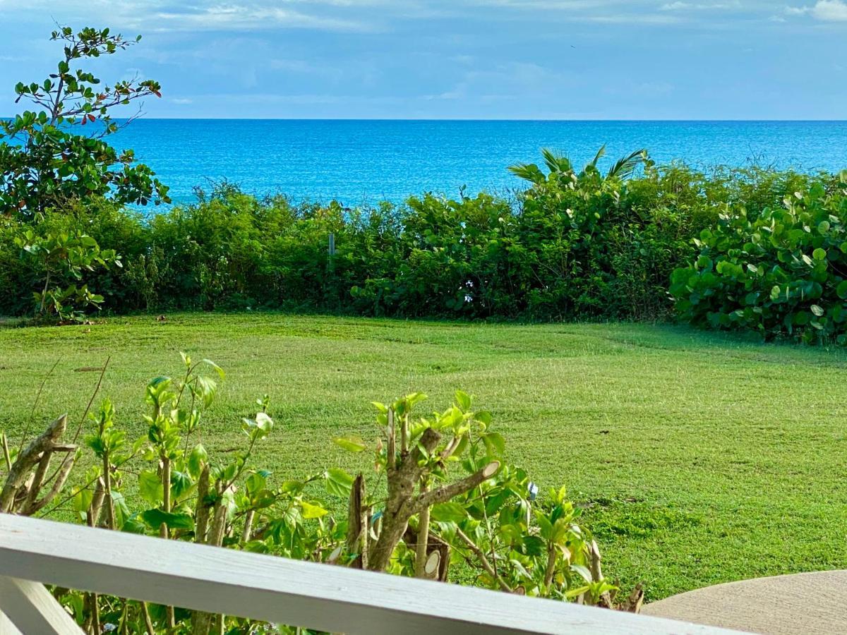 Blue Horizon Boutique Resort (Adults Only) بييكيس المظهر الخارجي الصورة