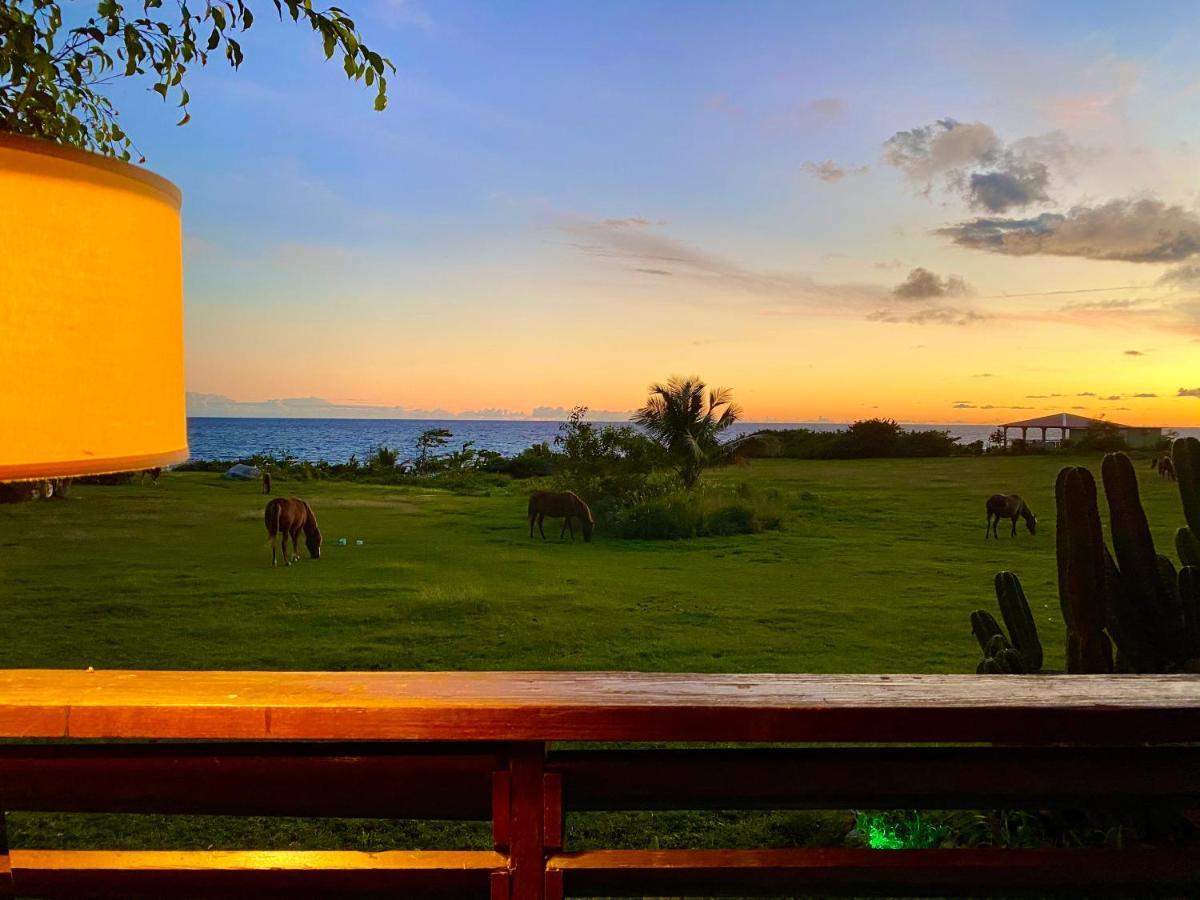 Blue Horizon Boutique Resort (Adults Only) بييكيس المظهر الخارجي الصورة
